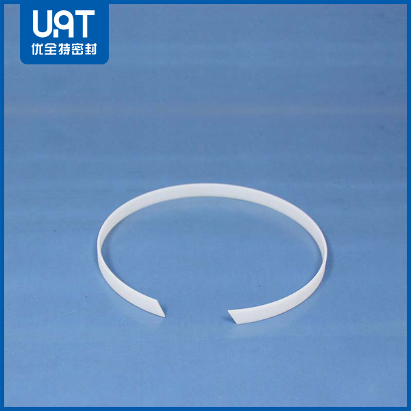 導向密封環(huán)DST