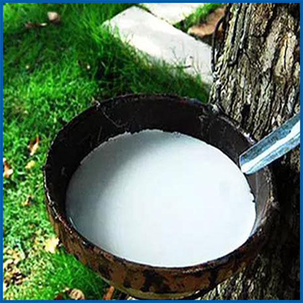 橡膠原材料收集