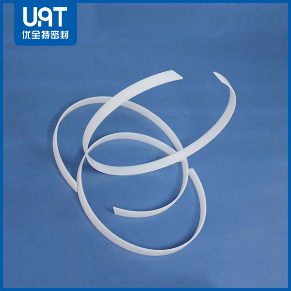 導(dǎo)向密封環(huán)DST