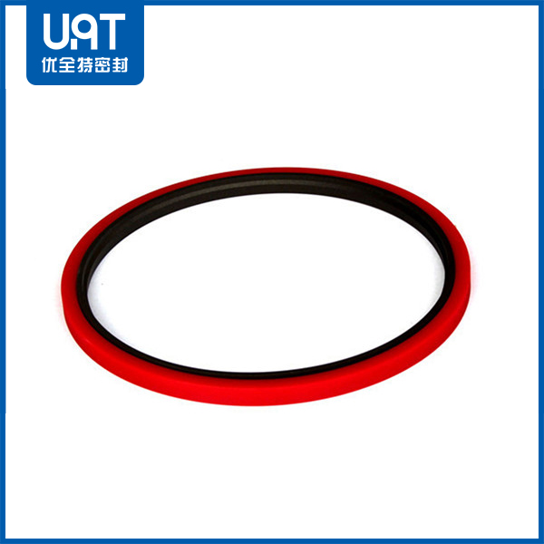 重載階梯組合密封圈DMSS