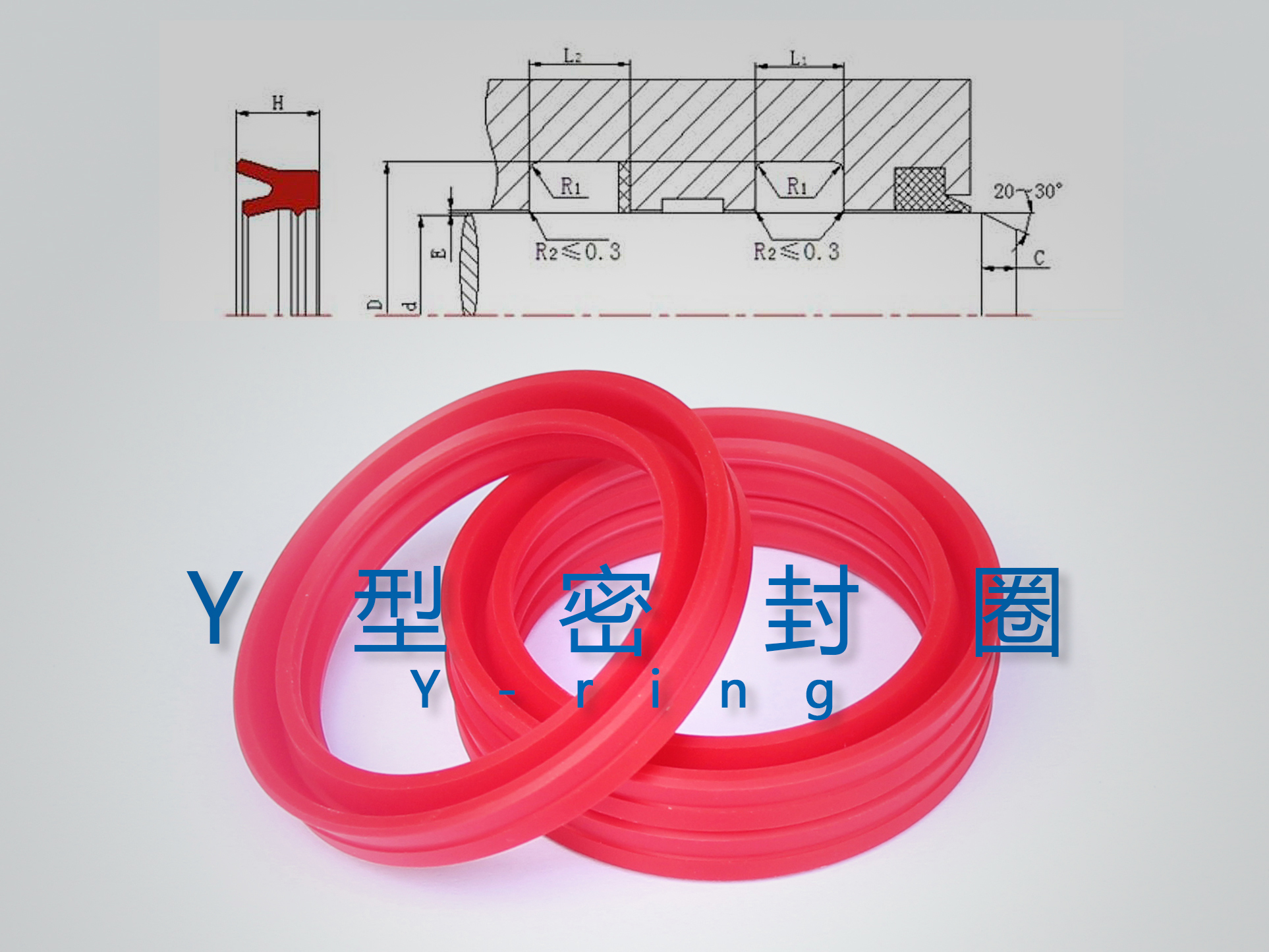 Y型密封圈（密封件、油封）與截面結(jié)構(gòu)產(chǎn)品圖