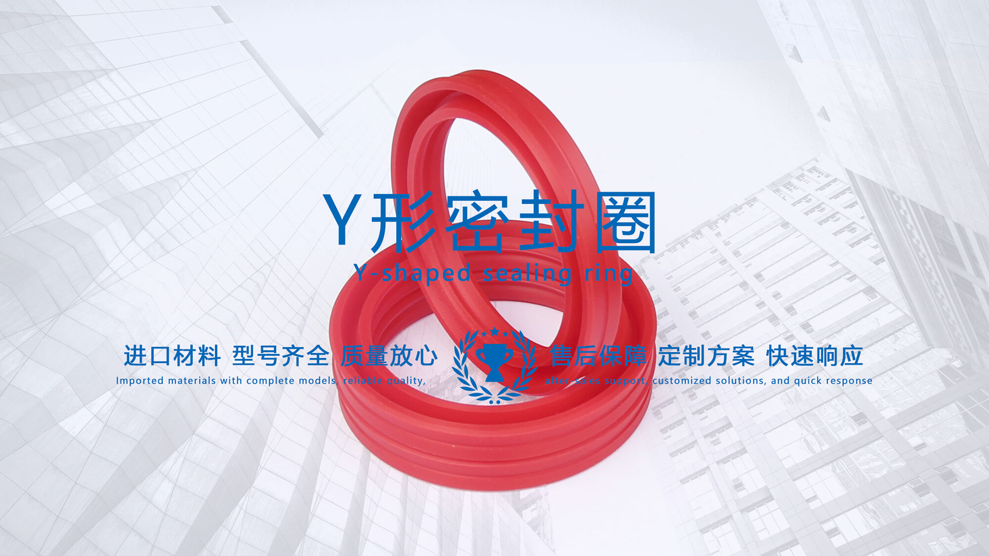 y型密封圈（又Y形密封圈，Y形圈，Y型圖或唇形密封圈，密封件油封膜片） (3)
